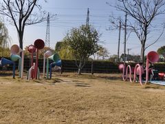 -菊园百果园
