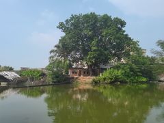 -江门古劳水乡旅游区