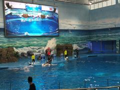 -多彩贵州城极地海洋世界