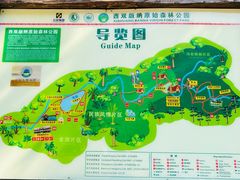 -西双版纳原始森林公园