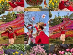 -东莞植物园