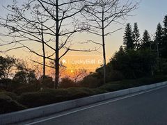-广州市白云山风景名胜区