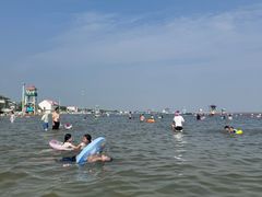 -碧海金沙