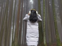 -武陵山森林公园