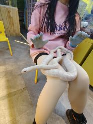 -神奇动物撸宠馆·羊驼·小浣熊·异宠(豫园店)