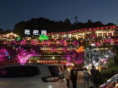 -枇杷园食为鲜火锅(南山店)