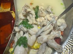 麻辣高汤鸳鸯锅-麻田会 ·鲜活现烹·牛蛙火锅(珠江新城维家思广场店)