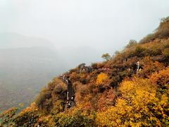 -狼牙山风景区