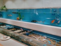 -腾阁自助餐厅(朝林广场店)