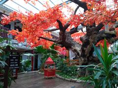 -老山东·山东菜(鲁菜名店)