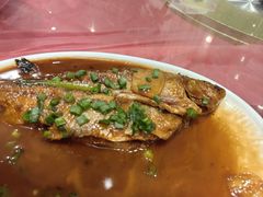 -品雅轩农家乐