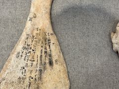 -长沙简牍博物馆
