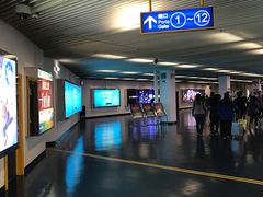-澳门外港客运码头(轮渡站)