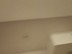 -北里·4k影院式足疗SPA馆(观音桥店)