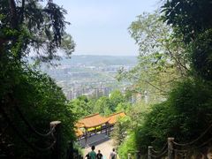 -铁山坪森林公园