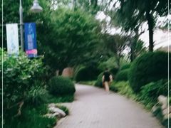-静安公园(静安寺街道)