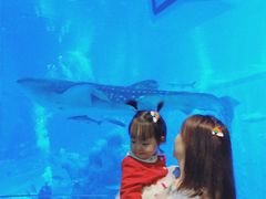 -成都浩海立方海洋公园