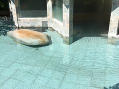 -碧水湾温泉