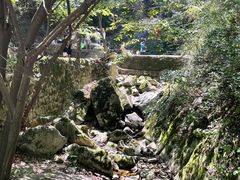 -西安祥峪森林公园