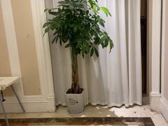 -洛阳宴·洛阳菜(南昌路店)