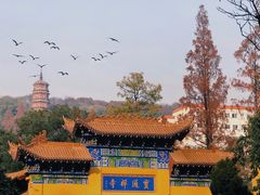 -宝通禅寺