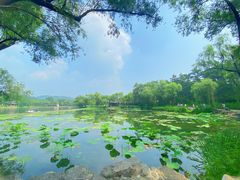 -承德避暑山庄景区