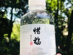 -灵隐飞来峰景区
