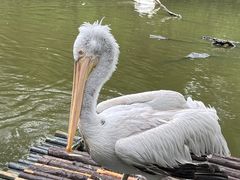 -济南野生动物世界