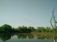 -白鹭湾湿地公园