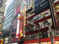 -秋叶原电器街