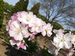 -陶然亭公园