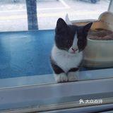 心都萌化了[可怜]