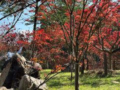-广州市帽峰山景区