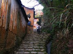 -杨家堂村