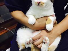 -苏州海洋馆