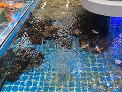 -大众海鲜(巨龙北路店)