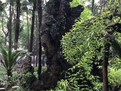 -黑龙潭风景区