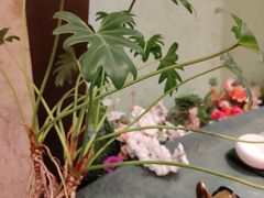 -世博源公馆·本帮融合菜·主题包厢·江景餐厅