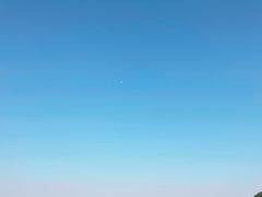-上海月湖雕塑公园