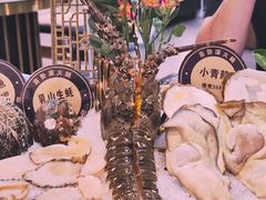 -喜聚薈·花膠雞海鮮火鍋(越秀店)
