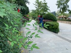 -成飞公园