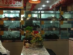 -蜀滋香鲜鱼美蛙火锅(339店)