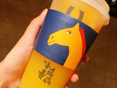 -春丽小马(济南恒隆广场店)