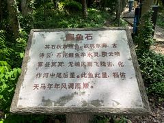 -上海佘山国家森林公园天马山园