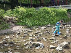 -重庆彩云湖湿地公园