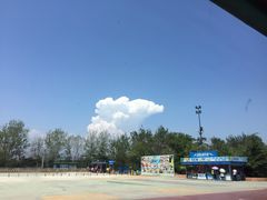 -秦皇岛乐岛海洋王国