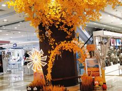 -伊藤洋华堂(温江店)