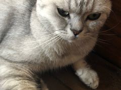 -不舍昼夜咖啡馆