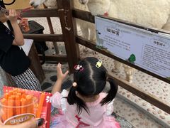 -珠海海泉湾神秘岛亲子乐园