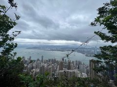 -太平山顶